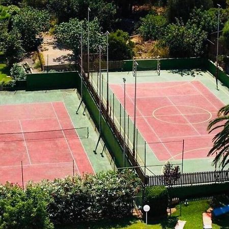 Verano Eterno En Mallorca - Alcudia! Εξωτερικό φωτογραφία